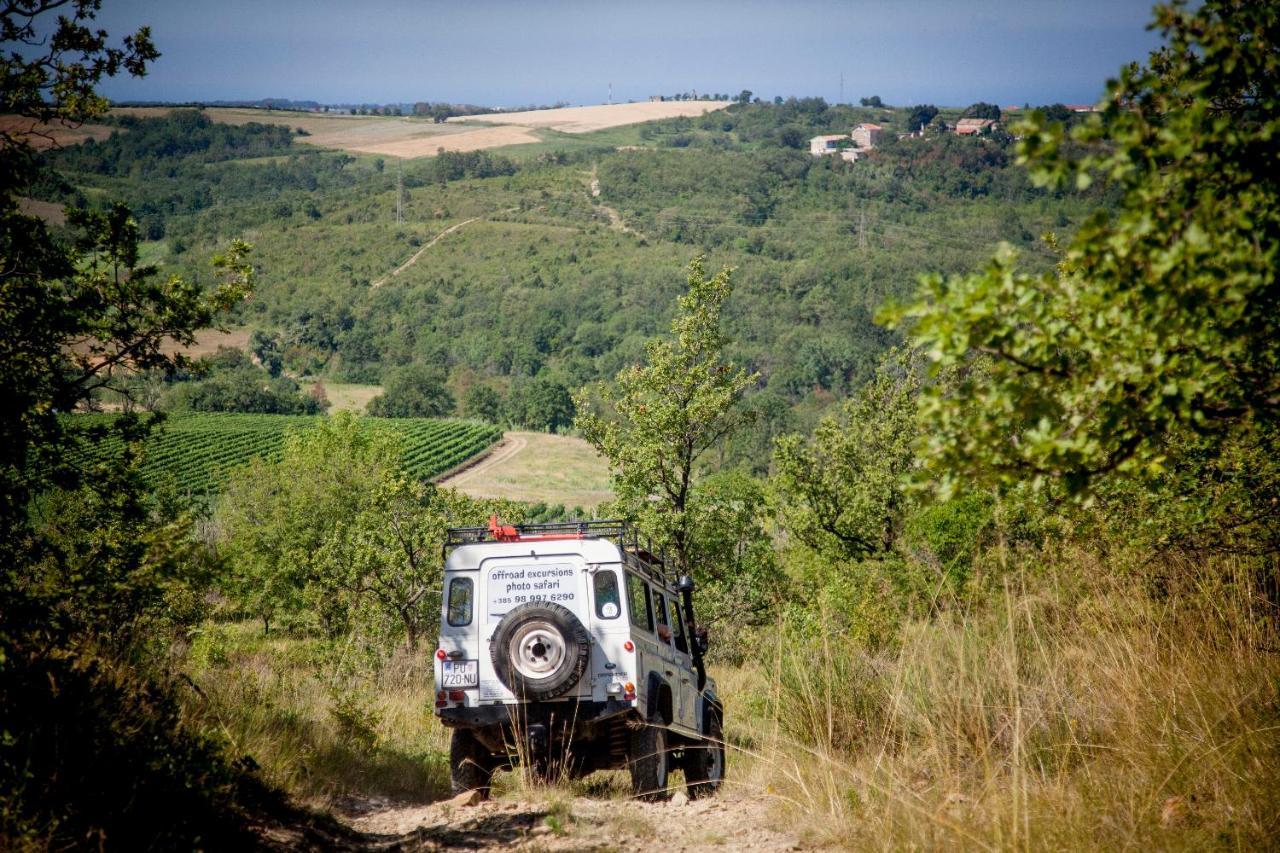 Al Merlo Olivo, Rural Istrian House Buje Buitenkant foto