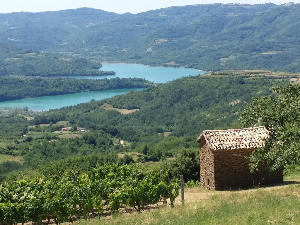 Al Merlo Olivo, Rural Istrian House Buje Buitenkant foto