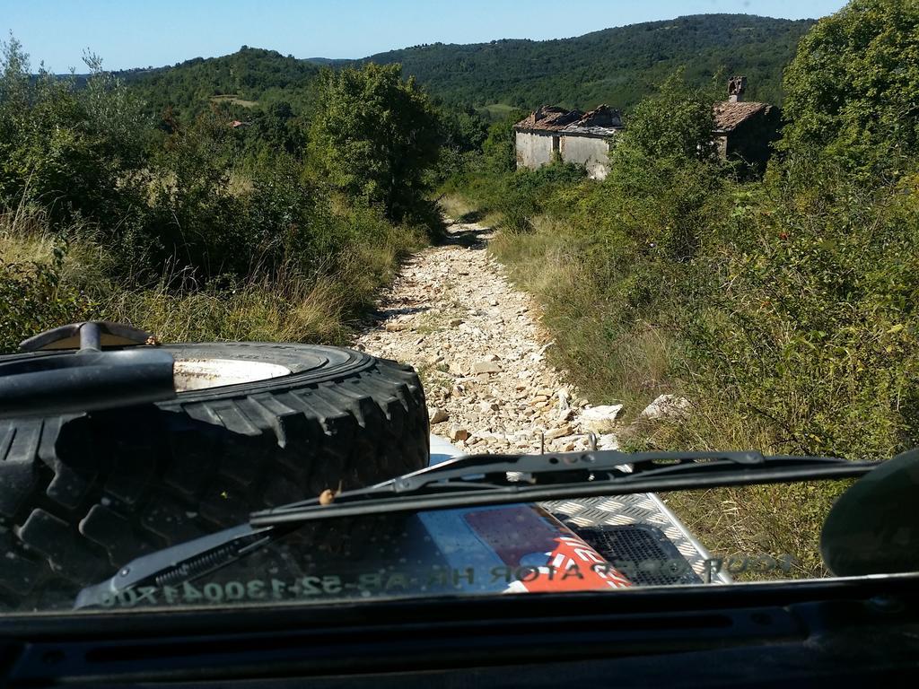 Al Merlo Olivo, Rural Istrian House Buje Buitenkant foto