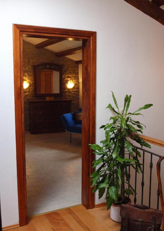 Al Merlo Olivo, Rural Istrian House Buje Kamer foto