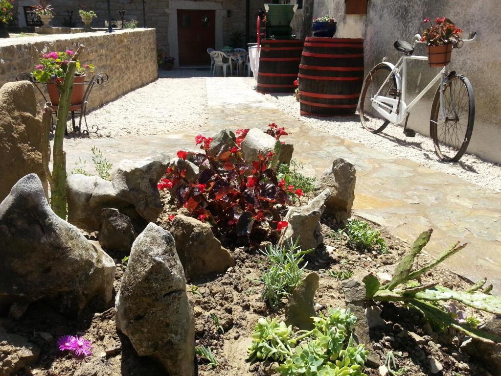 Al Merlo Olivo, Rural Istrian House Buje Buitenkant foto
