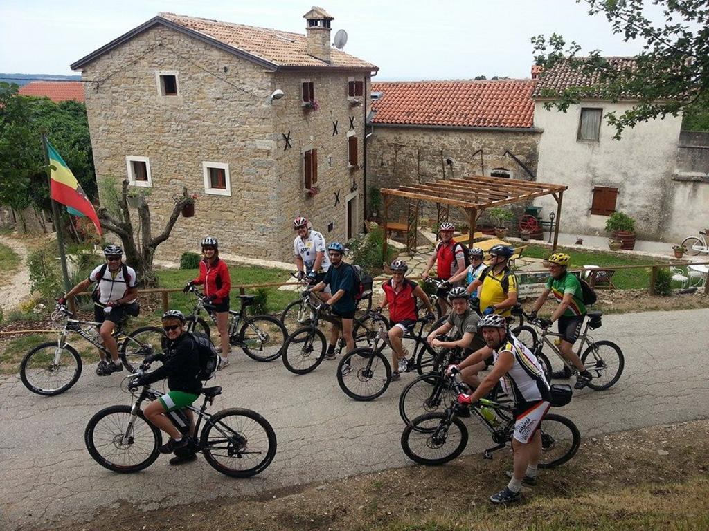 Al Merlo Olivo, Rural Istrian House Buje Buitenkant foto