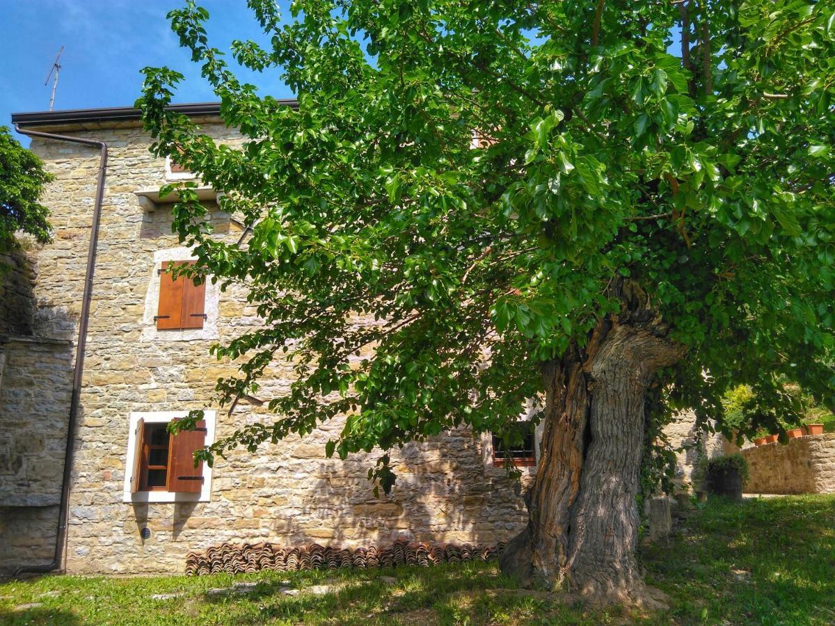Al Merlo Olivo, Rural Istrian House Buje Buitenkant foto