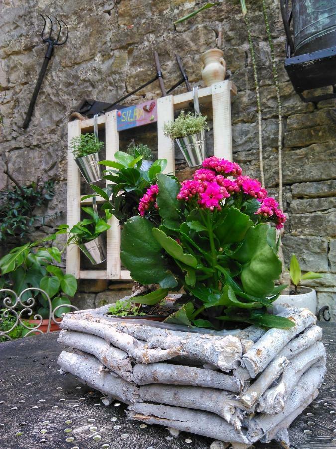 Al Merlo Olivo, Rural Istrian House Buje Buitenkant foto