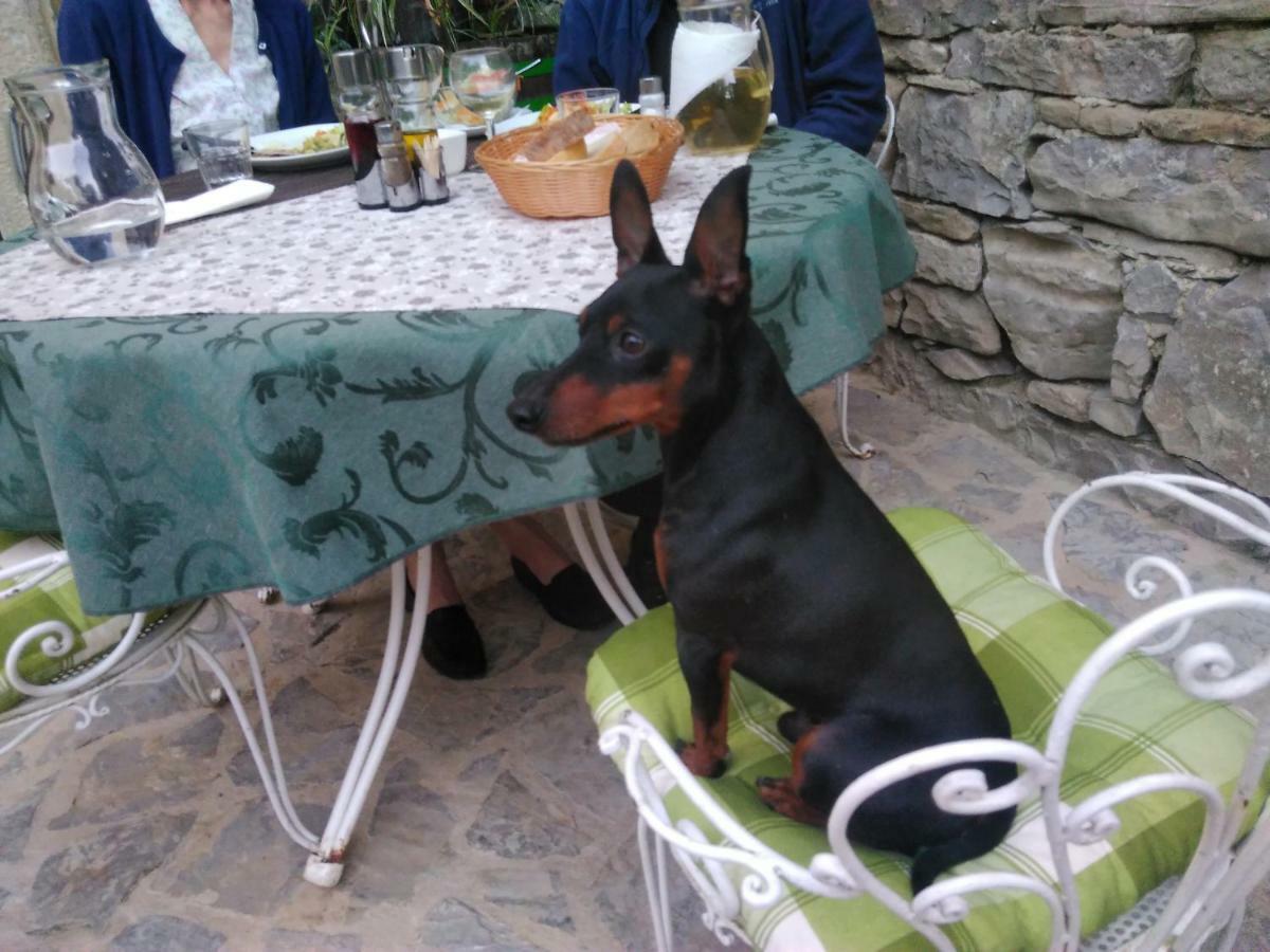 Al Merlo Olivo, Rural Istrian House Buje Buitenkant foto