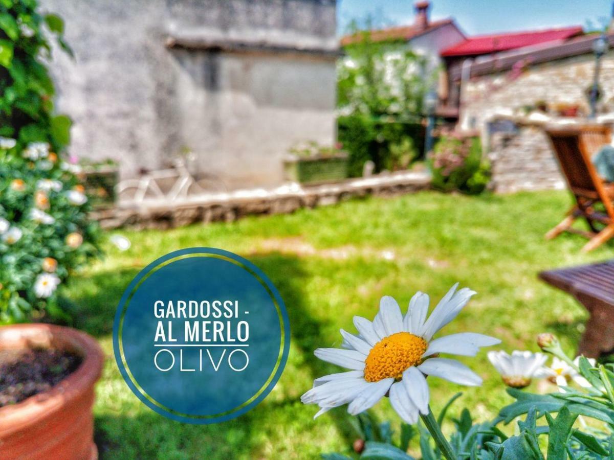 Al Merlo Olivo, Rural Istrian House Buje Buitenkant foto
