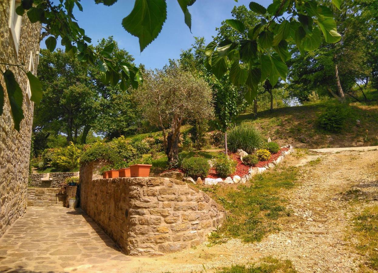 Al Merlo Olivo, Rural Istrian House Buje Buitenkant foto